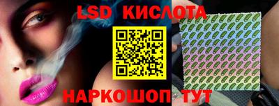 PSILOCYBIN Моздок