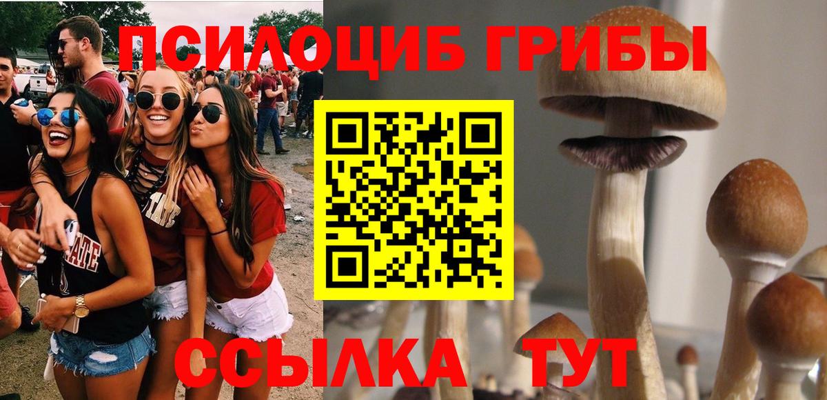 Галлюциногенные грибы Magic Shrooms  Вход с VPN  Тула  Псилоцибиновые грибы Psilocybe 