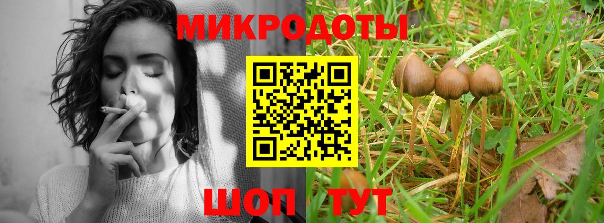 Псилоцибиновые грибы мухоморы Тула