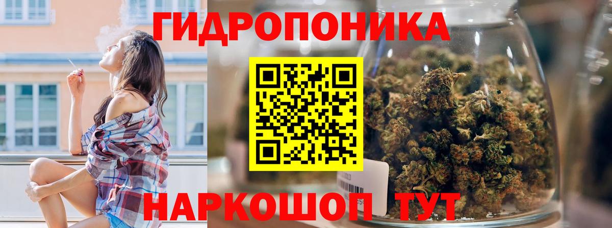 Канабис SATIVA & INDICA  Вход с VPN  Тула  Бошки Шишки LSD WEED  Канабис план 